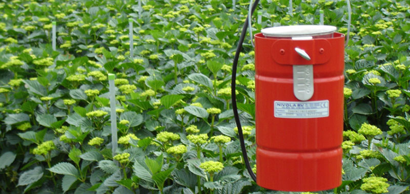 sulfur-pesticide Sulfur For Pest Control - How Is It Used As A Pesticide?