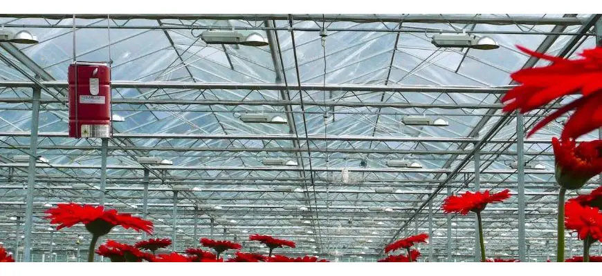 Using Sulfur For Pest Control