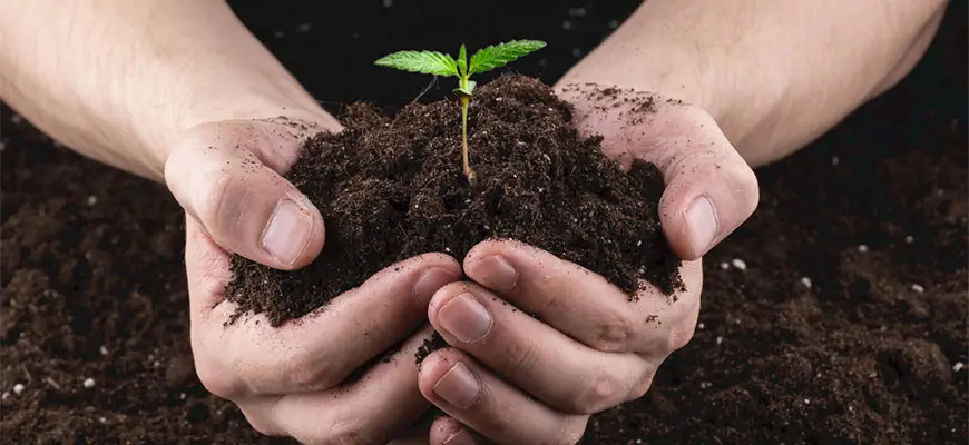 organic super soil recipe