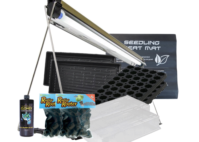 super-sprouter-100 Super Sprouter 100-Site Premium Seedling Starter Kit
