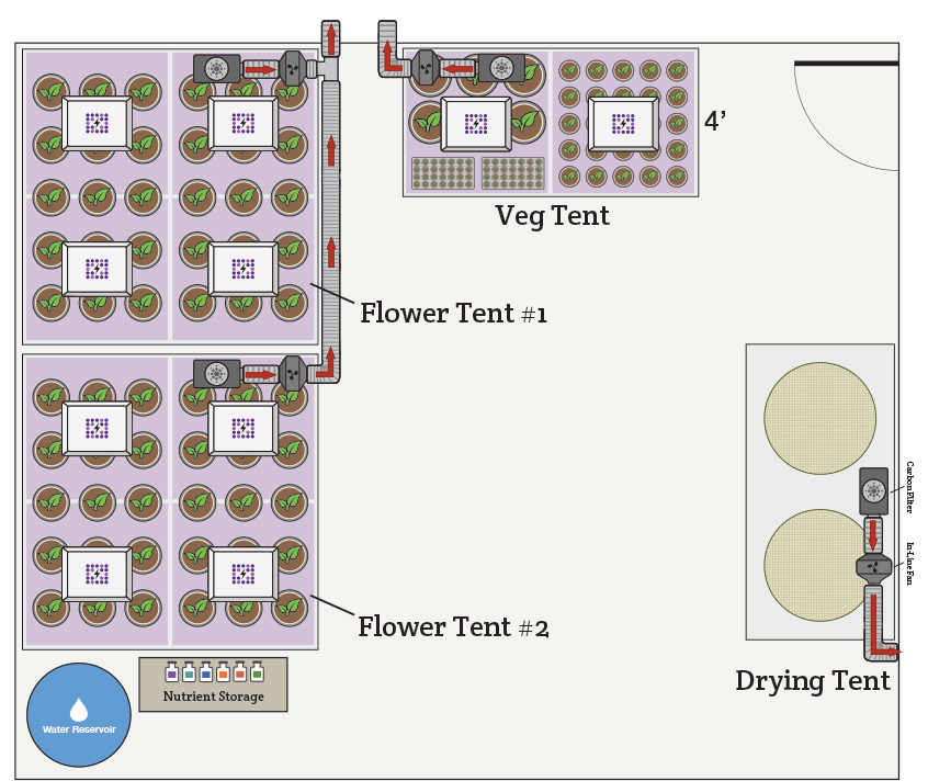 4' x 8' veg chamber, two 8' x 8' flowering chambers,  and 4' x 8' drying area