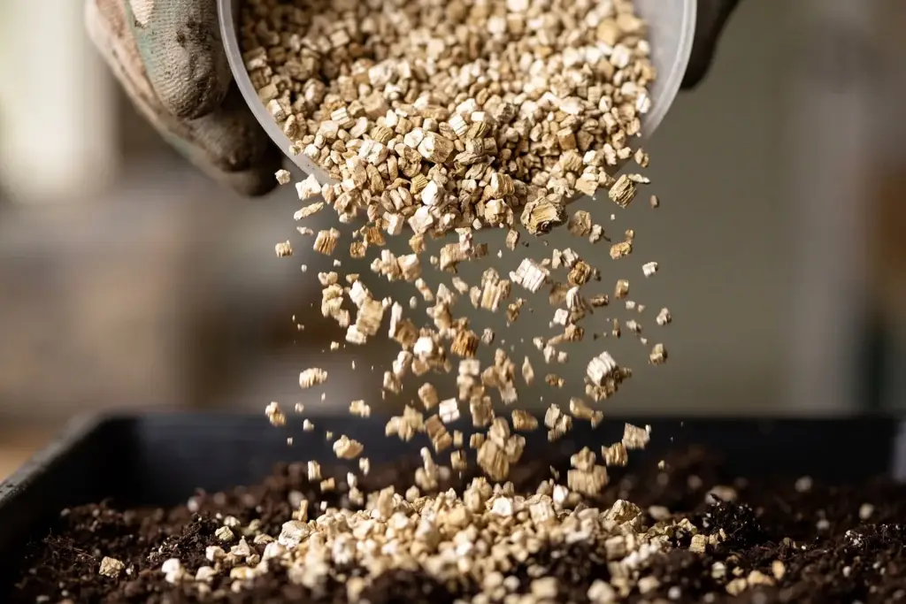 Vermiculite pellets showing layered mineral structure for moisture retention in soil