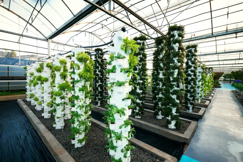 Leafy greens and herbs growing in stacked vertical farm tiers