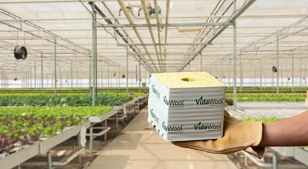 VidaWool Block 190 six-inch rockwool grow block with hole and UV-protection lining, case of 48