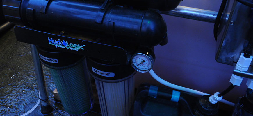 RO Filter Replacement: How Often To Change Reverse Osmosis Filters In Horticulture